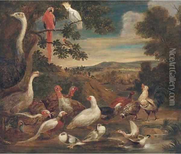 An ostrich, parrots, turkeys, woodcock, a pheasant and other birds in a landscape Oil Painting - Melchior de Hondecoeter