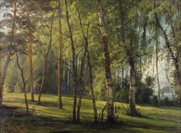 Puistonakyma. Oil Painting - Sigfrid August Keinanen