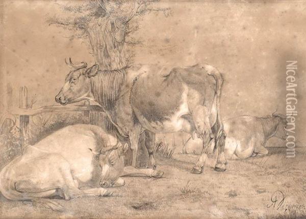 Cows Oil Painting - Albertus Verhoesen