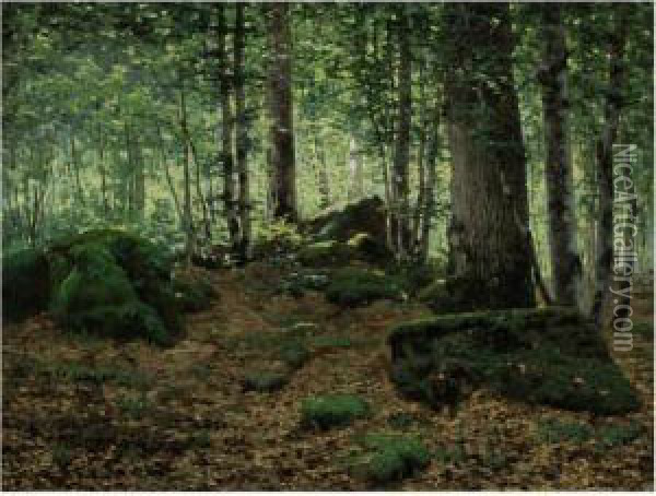 Forest At Fontainebleau Oil Painting - Jean Ferdinand Monchablon