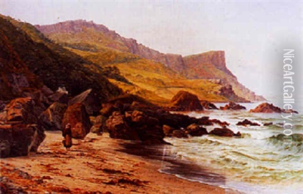 Murlough Bay And Fair Head, Coast Of Antrim Oil Painting - Bartholomew Colles Watkins
