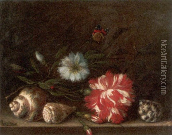 Blumenstilleben Mit Muscheln, Einem Schmetterling Und Raupe Oil Painting - Balthasar Van Der Ast