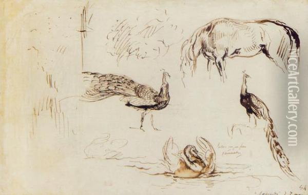 A Sheet Of Studies Of Peacocks, A Swan And A Horse Oil Painting - Eugene Delacroix