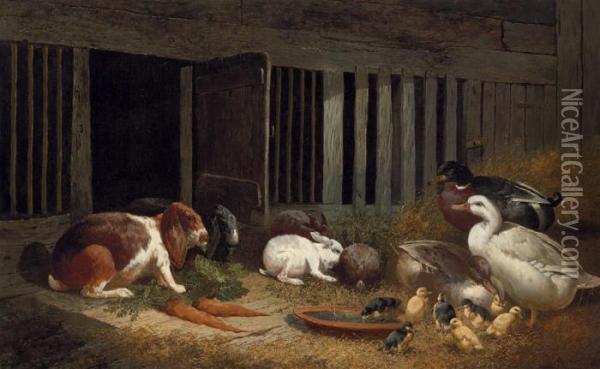 Rabbits And Ducks In A Hutch Oil Painting - John Frederick Herring Snr