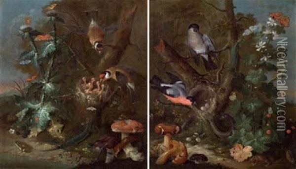 Stilleben Mit Vogeln Und Pilzen (+ Another; Pair) Oil Painting - Johann Baptist Halszel