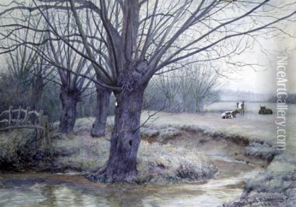 Cattle And Trees Beside A Stream Oil Painting - Wilmot Clifford Pilsbury