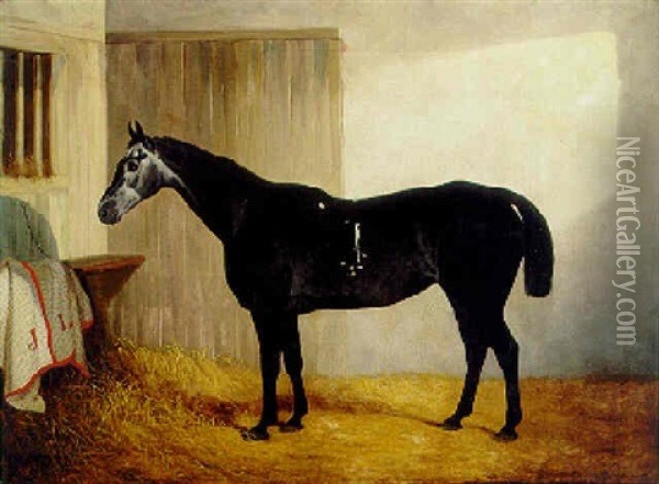 A Dark Grey Horse In A Stable Oil Painting - John Dalby