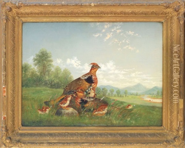 Landscape With A Family Of Grouse Oil Painting - Frederick A. Spang