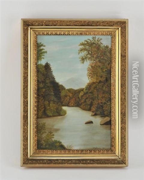 Adirondack River Landscape Oil Painting - David Johnson