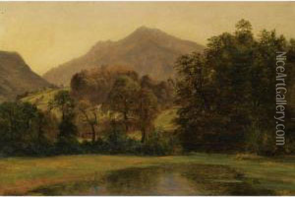 A Pond With A Mountainous Landscape In The Background Oil Painting - Alexandre Calame