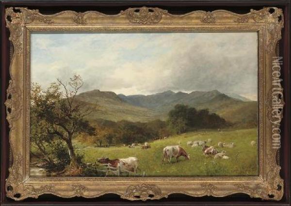 Cattle Grazing Before Rydal Fell, Westmorland Oil Painting - David Bates