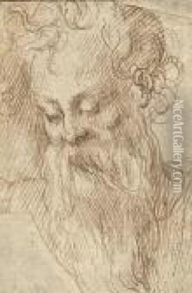 Head Of A Bearded Man Oil Painting - Girolamo Francesco Maria Mazzola (Parmigianino)