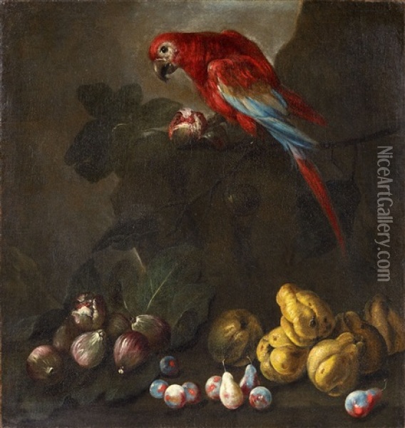Still Life With A Parrot, Peaches And Figs In A Landscape Still Life With A Parrot, Plums, Figs And Quinces In A Landscape Oil Painting - Angelo Maria Rossi