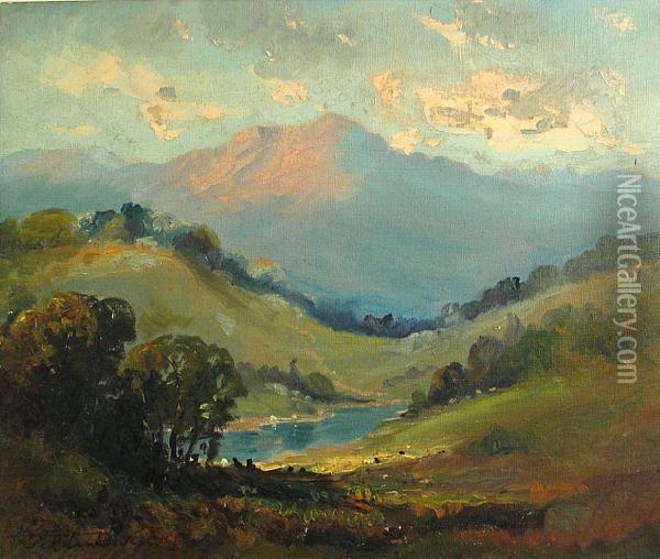 Rose Tint In Early Morning Oil Painting - Tilden Dakin