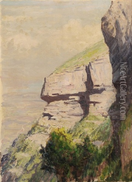 Blick Vom Steilhang Des Saleve Gegen Genf Und Genfersee Oil Painting - Albert Henri John Gos