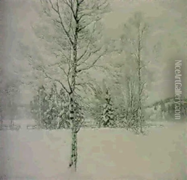 Vinterdag I Medelpad -                                      Landskap Med Bjorkar Oil Painting - Carl (August) Johansson