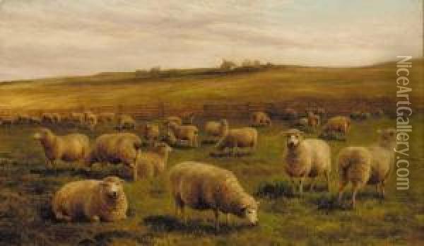 Sheep Grazing In A Coastal Landscape; And Sheep Grazing With A Cottage Beyond Oil Painting - Charles Jones