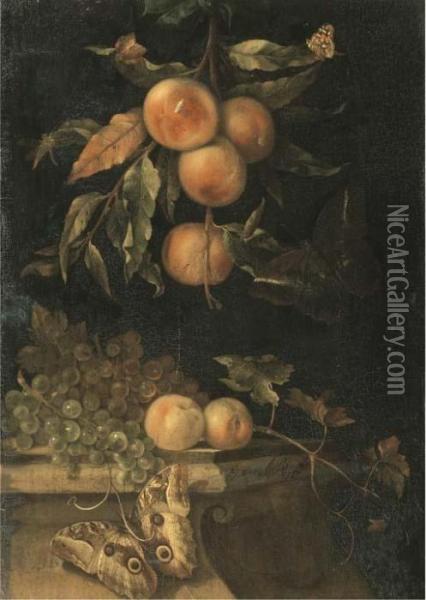 A Still Life With Peaches And Butterflies On A Ledge Oil Painting - Willem Van Aelst