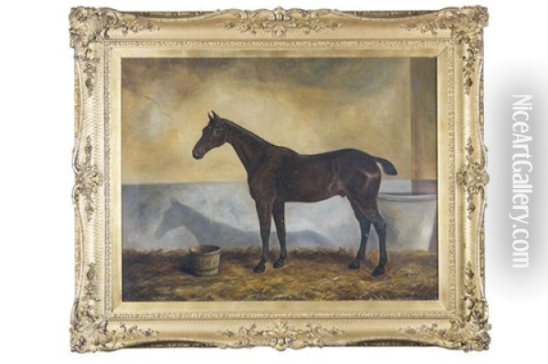 Horse In A Stable Oil Painting - Benjamin Cam Norton