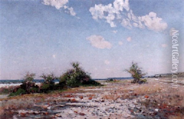 Strandlandskap, Visby Oil Painting - Axel Lindman