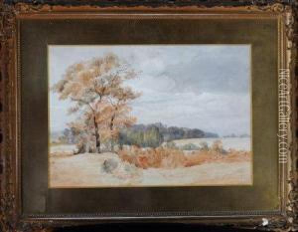 Trees In A Landscape Oil Painting - John Henry Mole