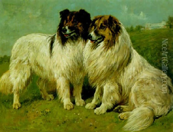Two Collies Oil Painting - John Emms
