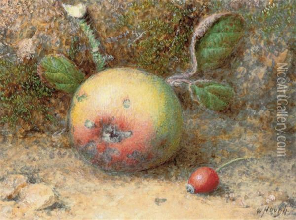 Still Life Of An Apple On A Mossy Bank Oil Painting - William Hough