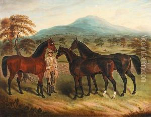 Three Horses And A Groom Oil Painting - Samuel Spode
