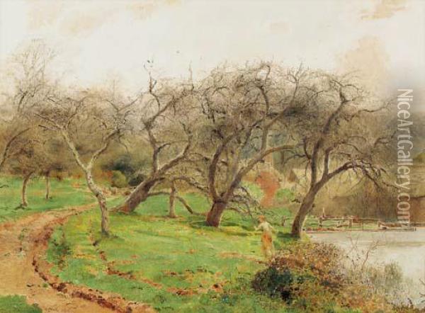 The Apple Orchard Oil Painting - John William North