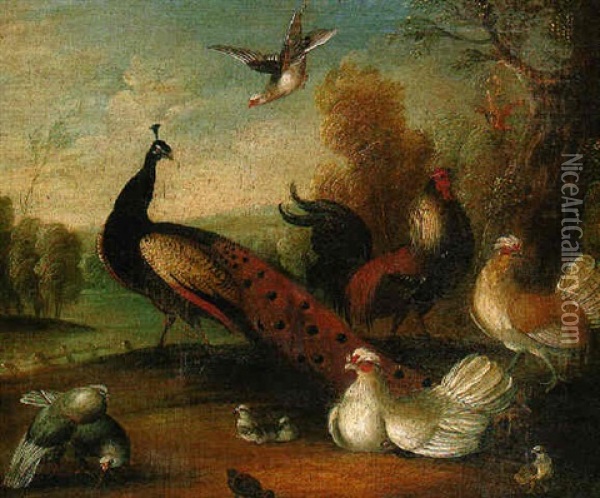 A Peacock With Cockerel And Other Birds In A Park Landscape Oil Painting - Marmaduke Cradock