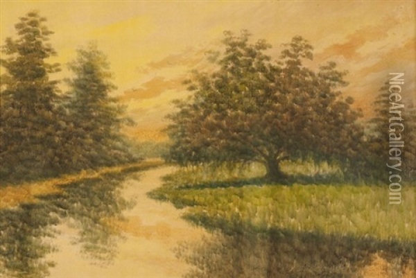 Dawn On The Louisiana Bayou Oil Painting - Alexander John Drysdale