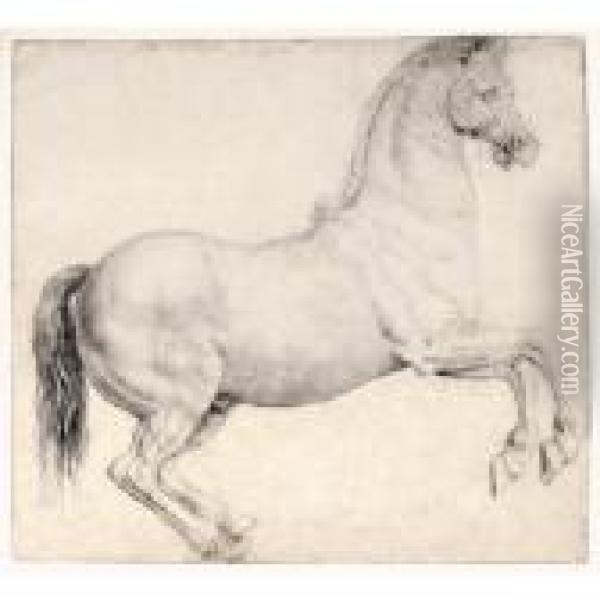 A Rearing Horse Oil Painting - Alessandro Allori