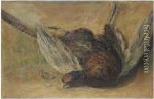 A Cock Pheasant Oil Painting - David I Cox