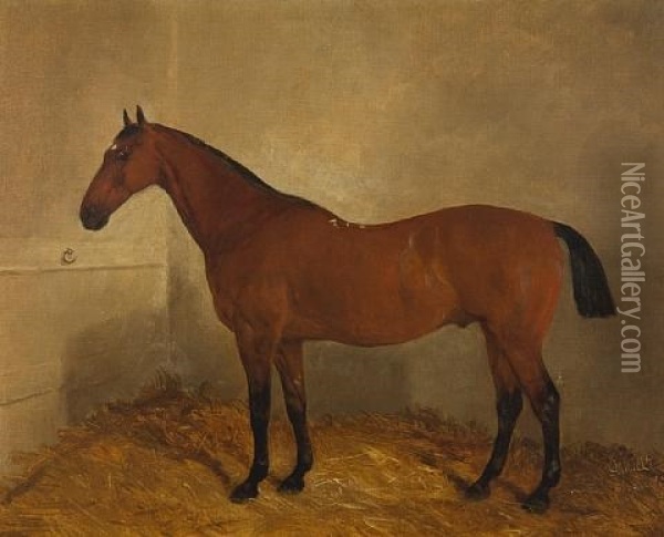 Bay Horse In A Stable Oil Painting - John Duvall