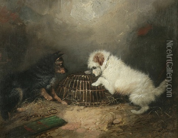 Terriers With A Caged Rat Oil Painting - George Armfield
