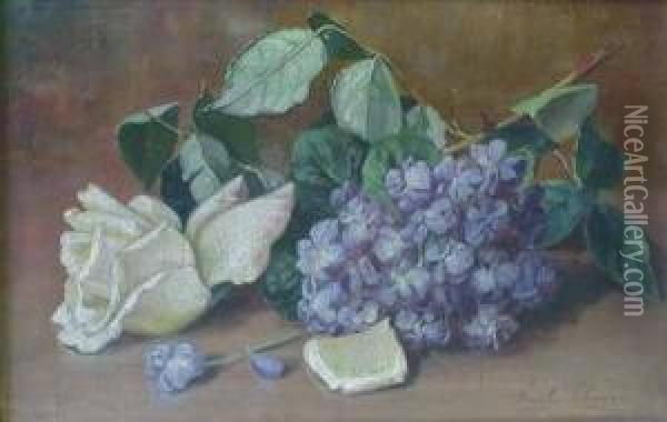 Still Life With White Rose And Wisteria Oil Painting - Emily Harris Mcgary Selinger