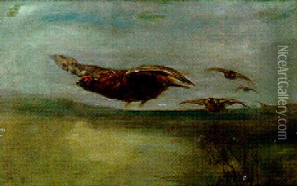 Partridge In Flight Oil Painting - Maud Earl