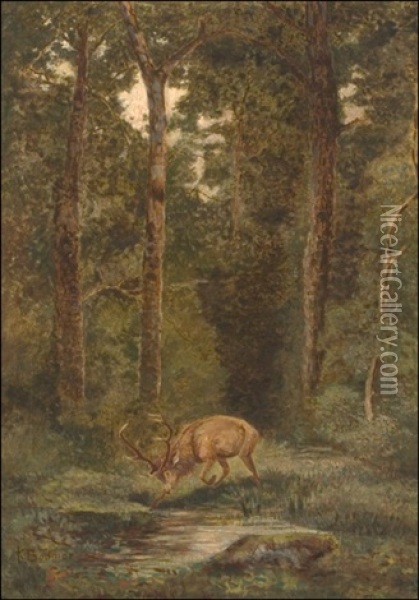 Stag In The Forest Oil Painting - Karl Bodmer