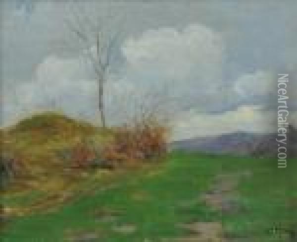 Paesaggio Campestre Oil Painting - Guglielmo Ciardi