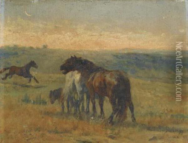 Cavalli Nella Campagna Oil Painting - Giuseppe Raggio