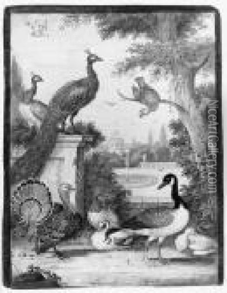 Peacocks, A Parrot, A Goose, A Turkey, Ducks And Another Bird In Apalatial Garden Oil Painting - Johannes Bronkhorst