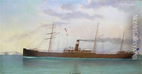 The Steam Ship S.s. Warrnambool Passing Dover Strait Oil Painting - Charles Keith Miller