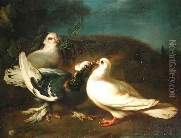 Doves, 1724 Oil Painting - Franz Werner von Tamm