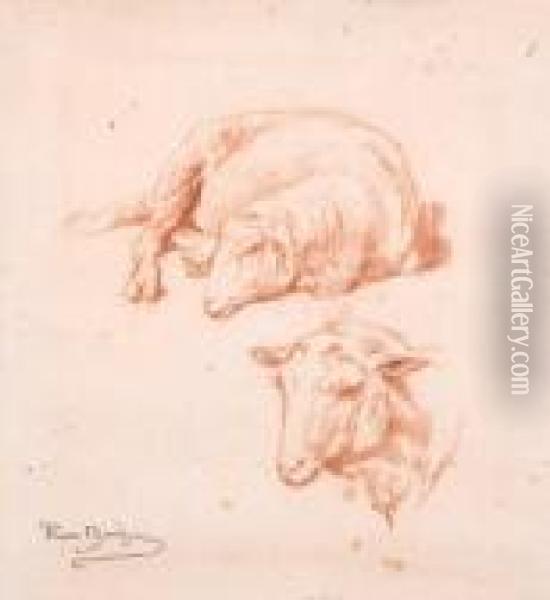 A Study Of A Sheep Oil Painting - Rosa Bonheur