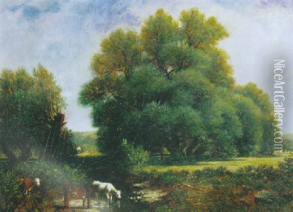 Cattle Watering In A Stream Oil Painting - David Johnson