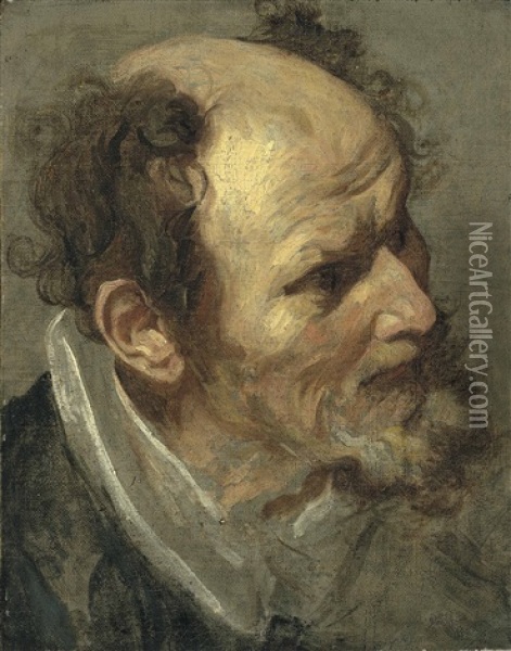Head Of A Bearded Man Oil Painting - Anthony Van Dyck