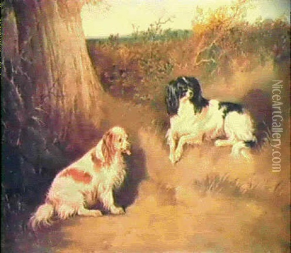 Two Spaniels Beside A Tree Trunk Oil Painting - John Dalby