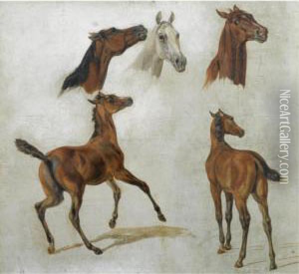Pferdestudien (horse Studies) Oil Painting - Adam Albrecht