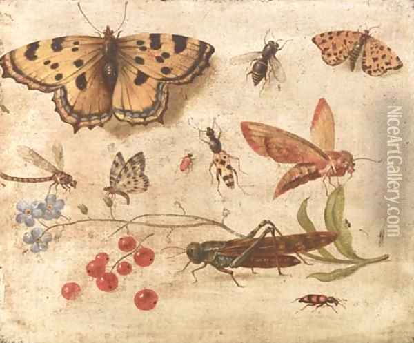 Butterflies, a moth, a cricket, a dragonfly, a beetle and berries Oil Painting - Jan van Kessel