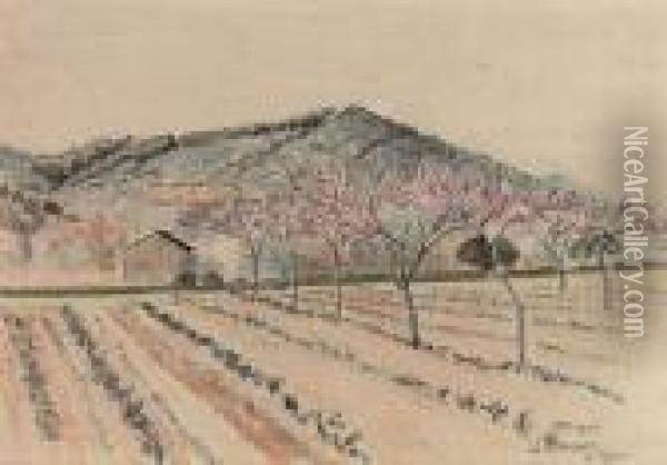 Le Lavandou, Les Vignes Oil Painting - Lucien Pissarro